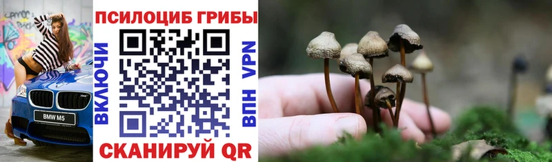 Псилоцибиновые грибы MAGIC MUSHROOMS  гидра рабочий сайт  Советская Гавань 